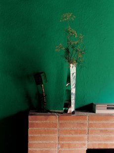 Crevasse by Zaha Hadid - Váza na kvety od ALESSI