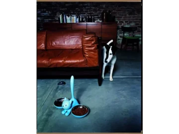 Domáce zviera pri dizajnovej miske v minimalistickom interiéri – estetická starostlivosť o miláčikov.