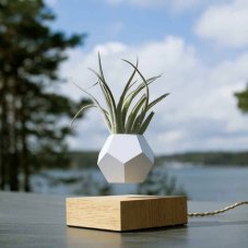 Levitujúci kvetináč LYFE od FLYTE