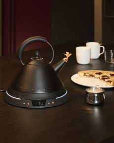 Rýchlovarná kanvica s reguláciou teploty od ALESSI